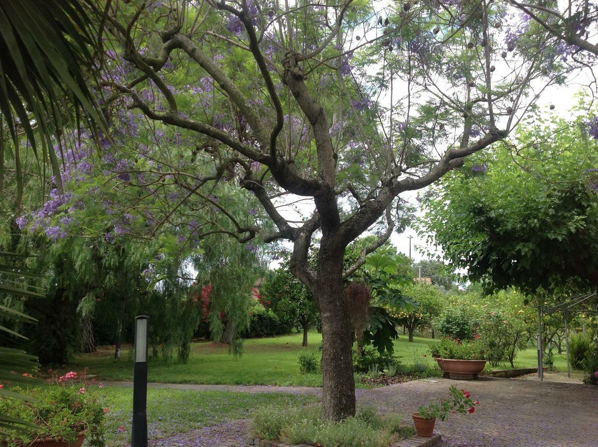 La Quercia Bed & Breakfast Altavilla Silentina Exterior photo